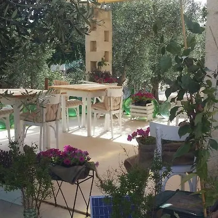 Amareilmare Giovinazzo